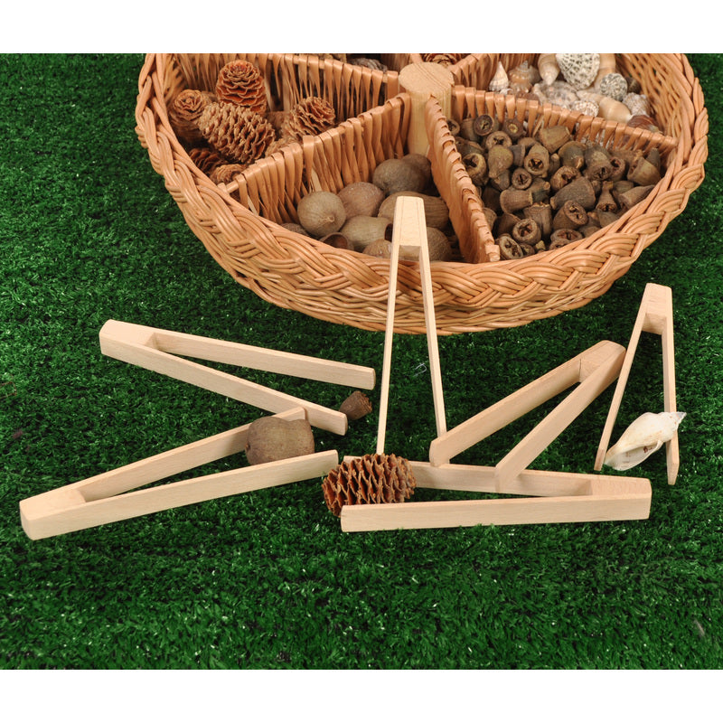 Wooden Tweezers (6pk)