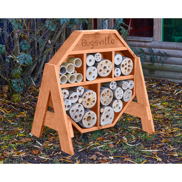 Käferstadt Hive