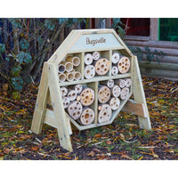 Käferstadt Hive